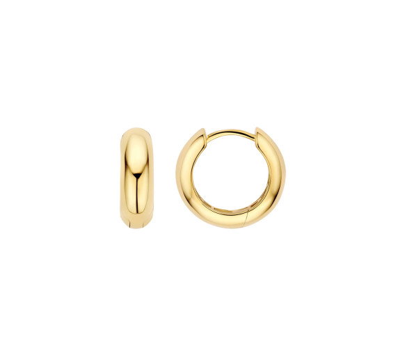 Luxoia - Blush Ohrringe 14k Gelbgold - 7389YGO