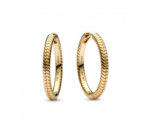 Luxoia - Pandora Moments Charm Ohrringe - 269532C00