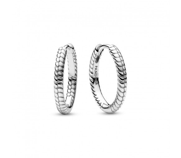 Luxoia - Pandora Moments Kleine Charm Ohrringe - 292728C00