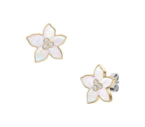 Luxoia - Fossil Orecchini Sutton - JF04973710