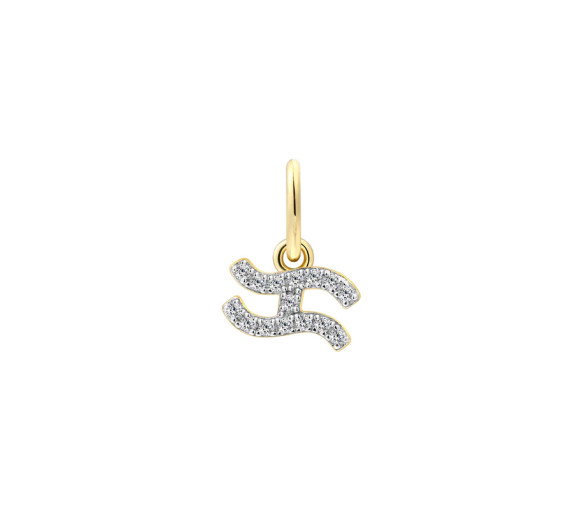 Luxoia - Xenox Wassermann Charm - XS10470G