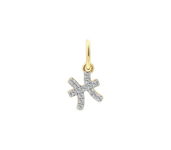 Luxoia - Xenox Fische Charm - XS10471G
