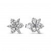 Luxoia - Pandora Clous d’oreilles Herbiers scintillants - 292633C01