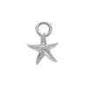 Luxoia - Paul Hewitt Starfish Charm Silber - PH-JE-0428