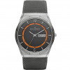 Luxoia - Skagen Melbye Titanium - SKW6007