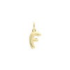 Luxoia - Xenox F Letter Bold Charm - XS10451G/F