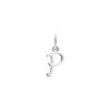 Luxoia - Xenox P Letter Italic Charm - XS10452W/P