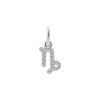 Luxoia - Xenox Steinbock Charm - XS10469W