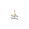 Luxoia - Xenox Wassermann Charm - XS10470G