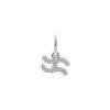 Luxoia - Xenox Wassermann Charm - XS10470W