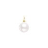 Luxoia - Xenox Pearl Charm - XS10521G