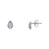 Luxoia - Xenox Fancy Cut Silver Ohrstecker - XS6077